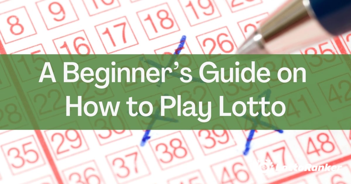 Panduan Pemula tentang Cara Bermain Lotto
